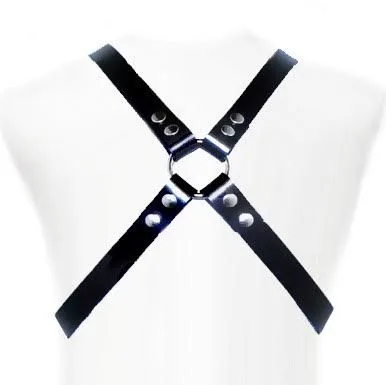 Leather Body - Basic Harness