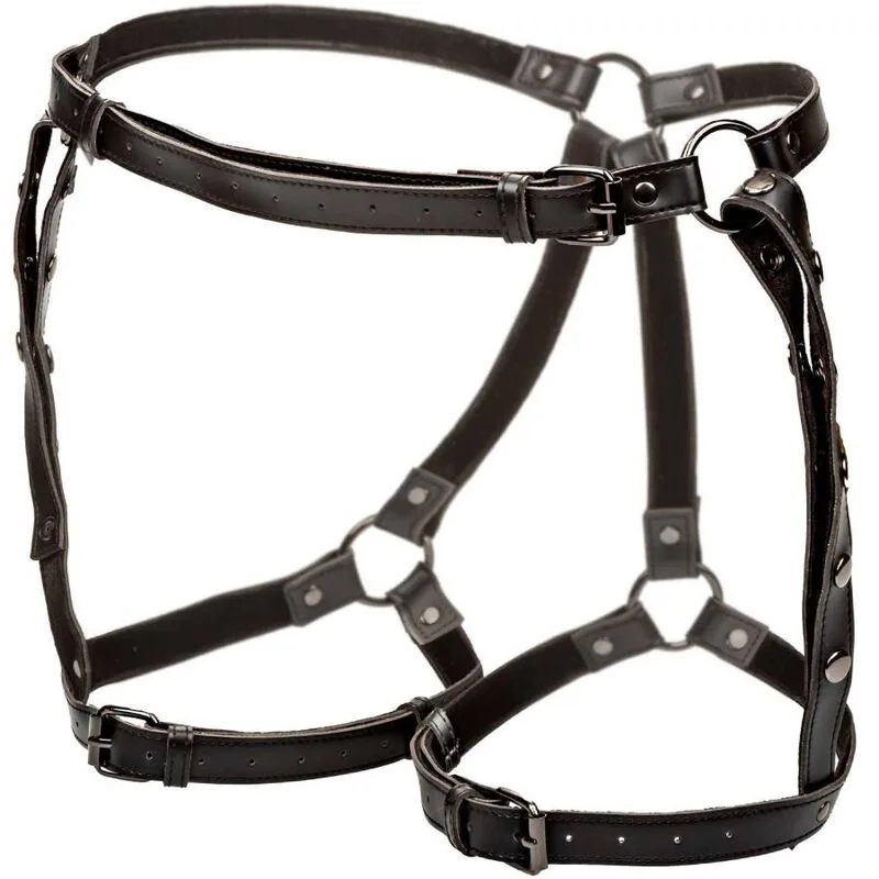 Calexotics - Euphoria Plus Size Riding Thigh Harness
